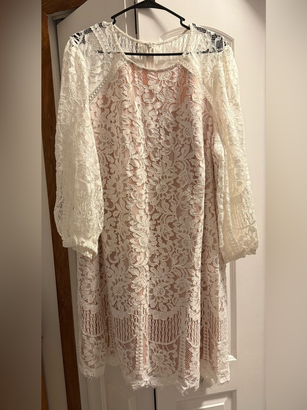 Vince Camuto Ivory Lace Long-Sleeve Dress with Blush Lining